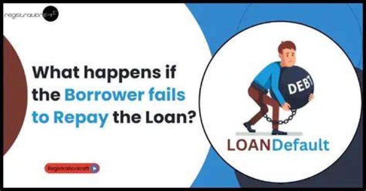 What happens if a person fails to repay a loan?