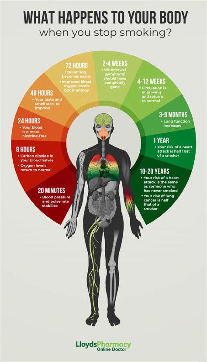 What happens if you hit the back of your head symptoms?