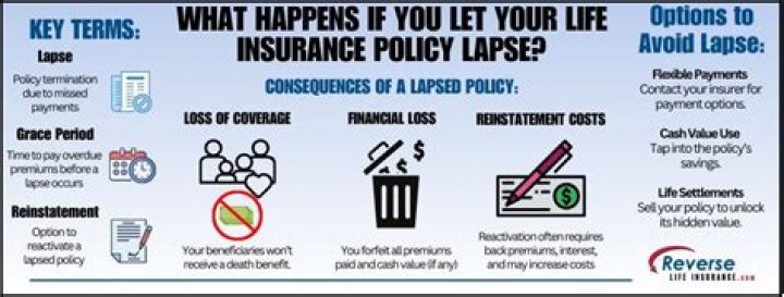 What happens if you let your insurance lapse?
