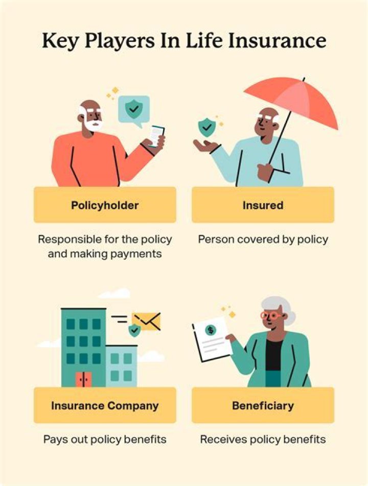 What happens when you surrender a term life insurance policy?
