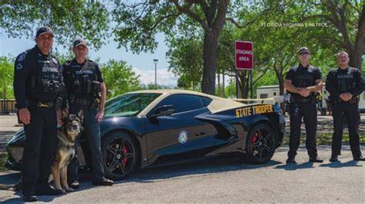 What happens when your car gets seized by the police?