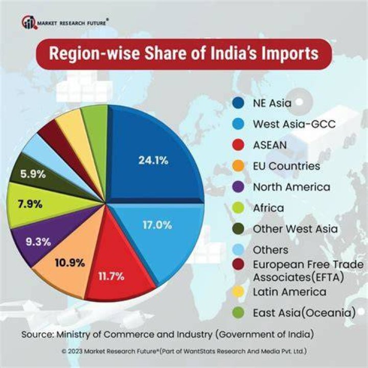 What India imports the most 2020?