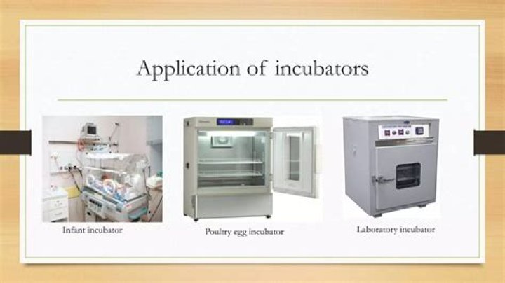 What industry is an incubator in?