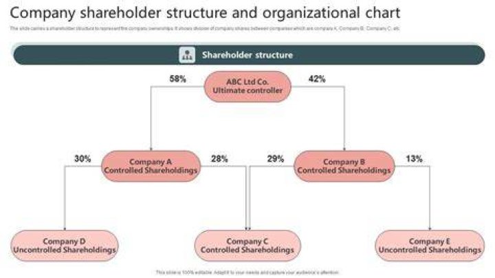 What is a 50% shareholder entitled to?