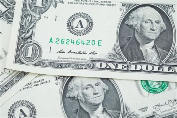What is a basic monetary unit?