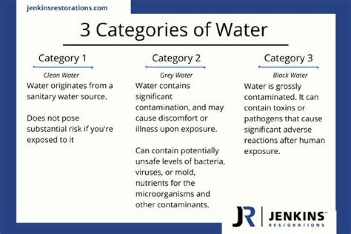 What is a Category 2 water loss?