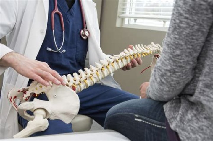 What is a chiropractor considered on insurance?