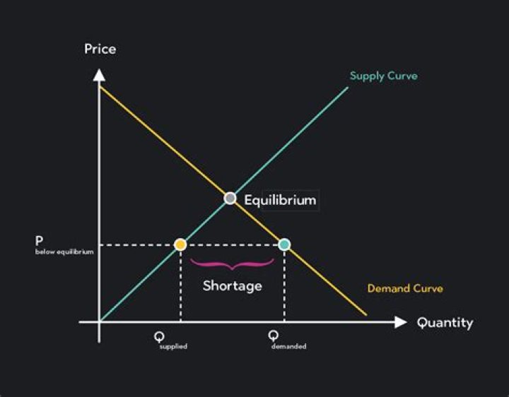 What is a correctly priced stock?
