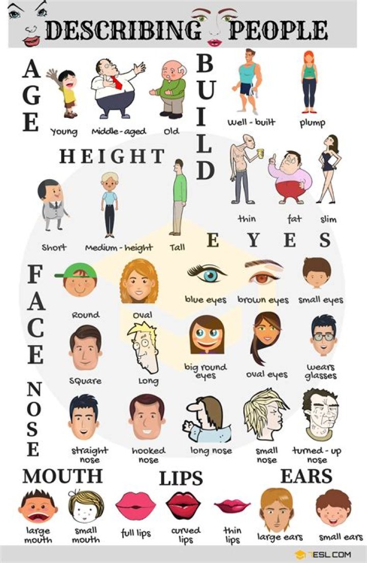 What is a description of a person?