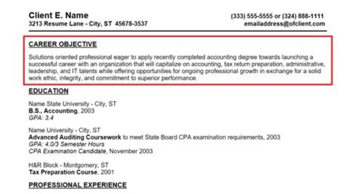 What is a good objective for a finance resume?
