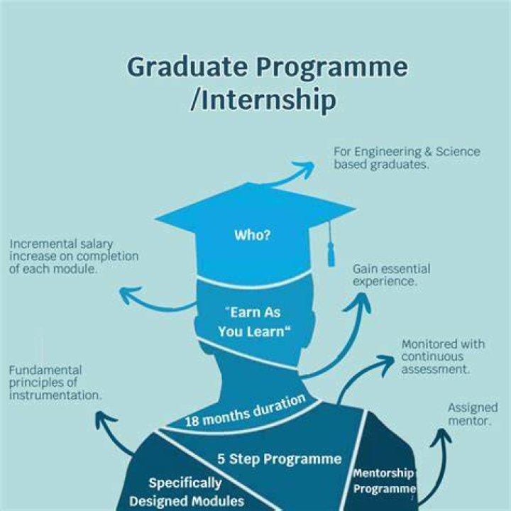 What is a graduate program loan?