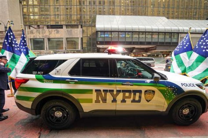 What is a green police?