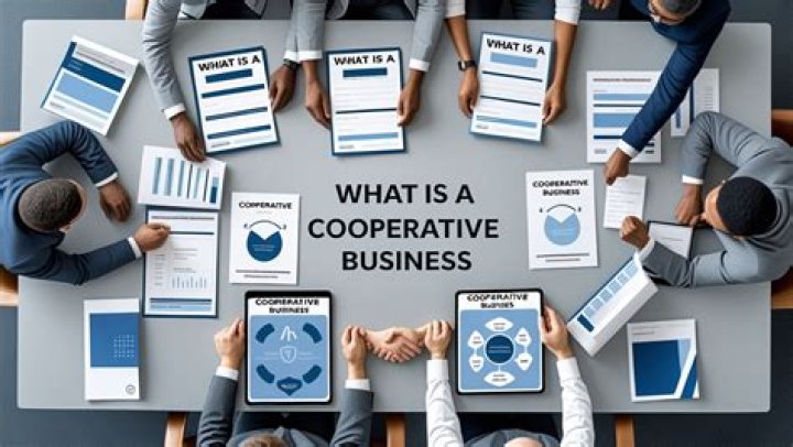 What is a homeowner cooperative?