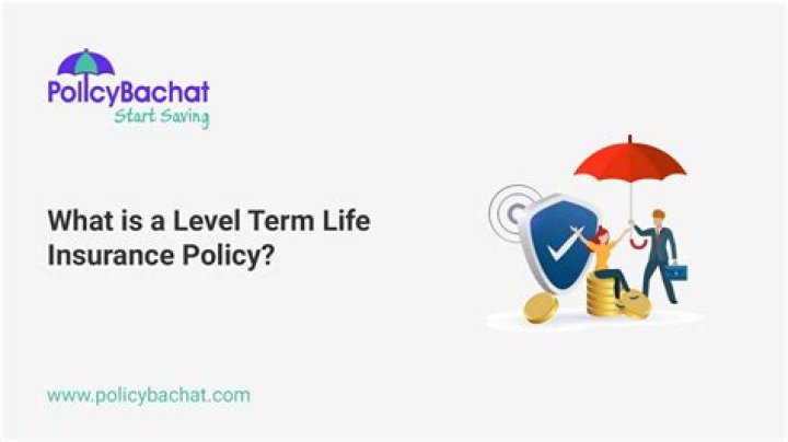 What is a level term insurance policy?