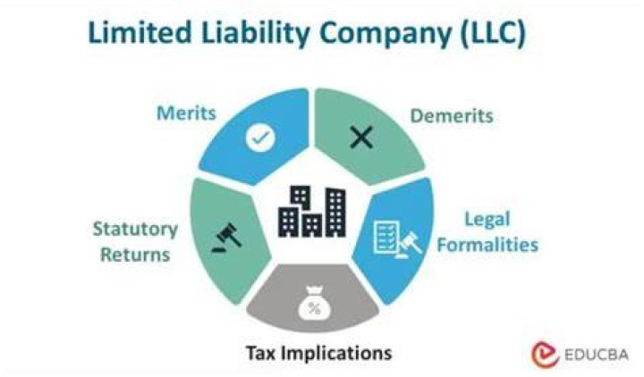 What is a limited member in an LLC?