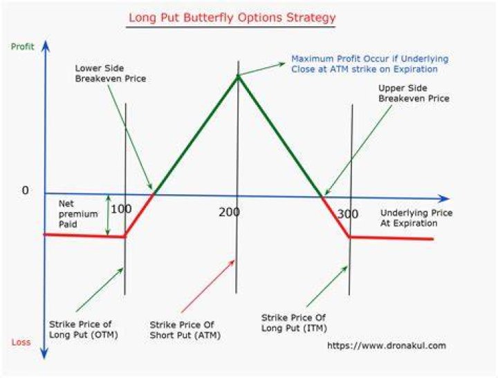 What is a long put in finance?