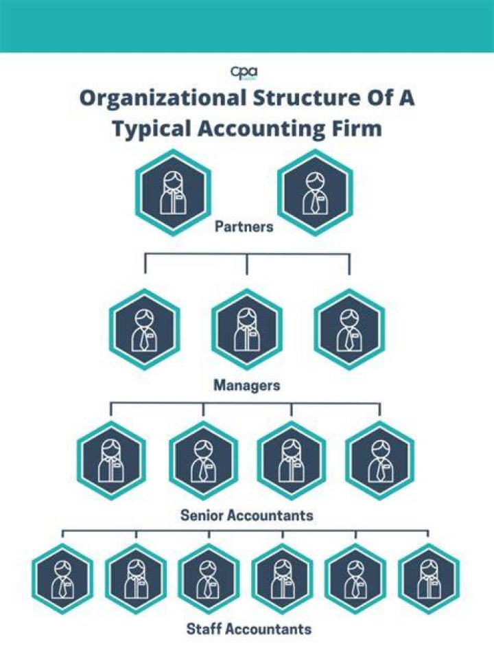 What is a partner in accounting firm?