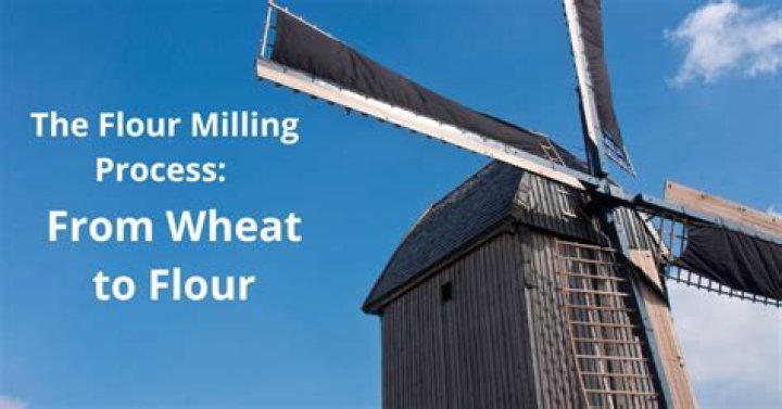 What is a person who makes flour called?