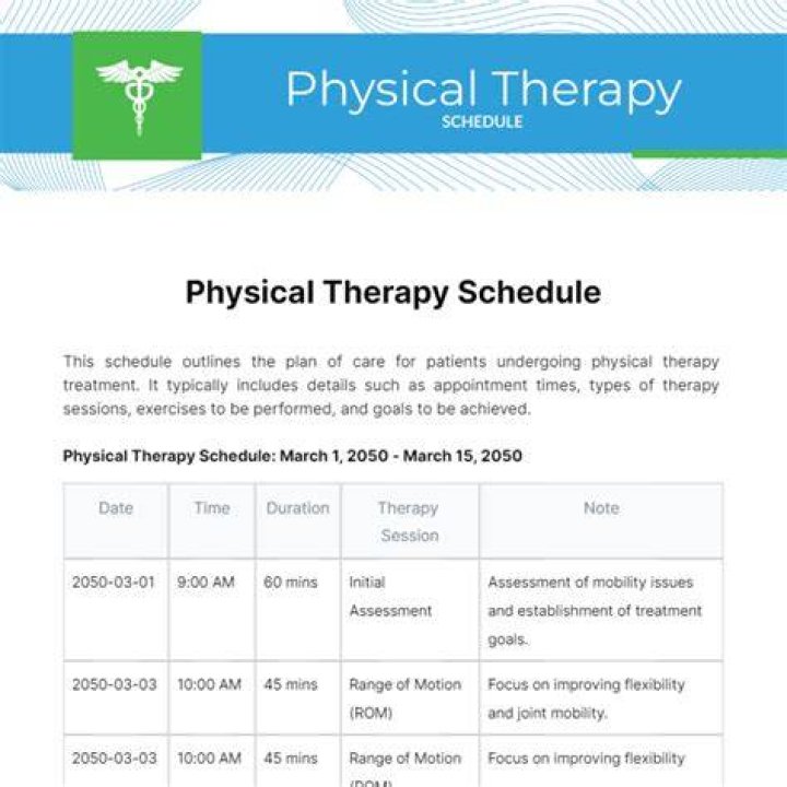 What is a physical therapist schedule?