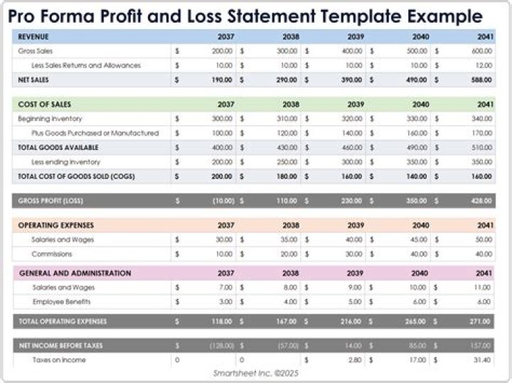 What is a pro forma P and L?