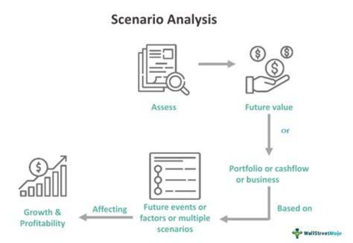 What is a project scenario analysis?