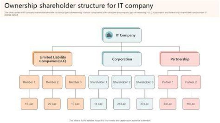 What is a single shareholder corporation?
