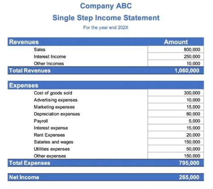 What is a single step income statement?