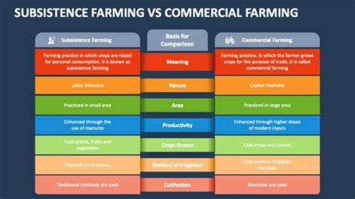 What is a subsistence company?