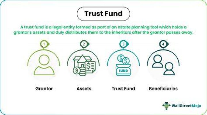 What is a trust fund in a nursing home?
