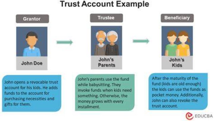What is a trustee on an investment account?