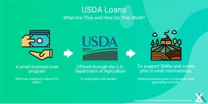 What is a USDA business loan?