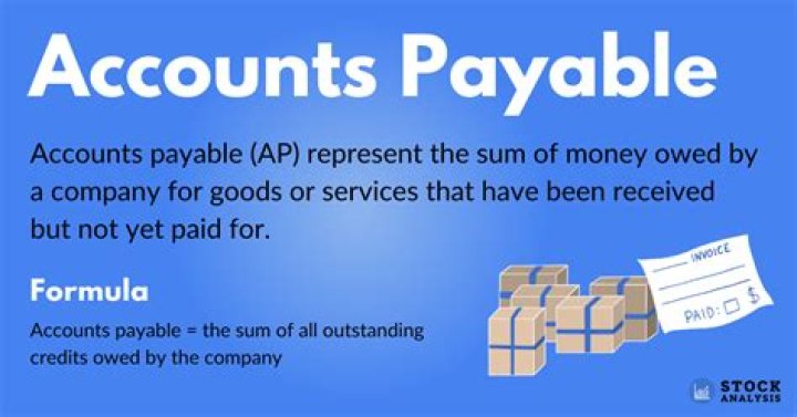 What is Accounts Payable name?