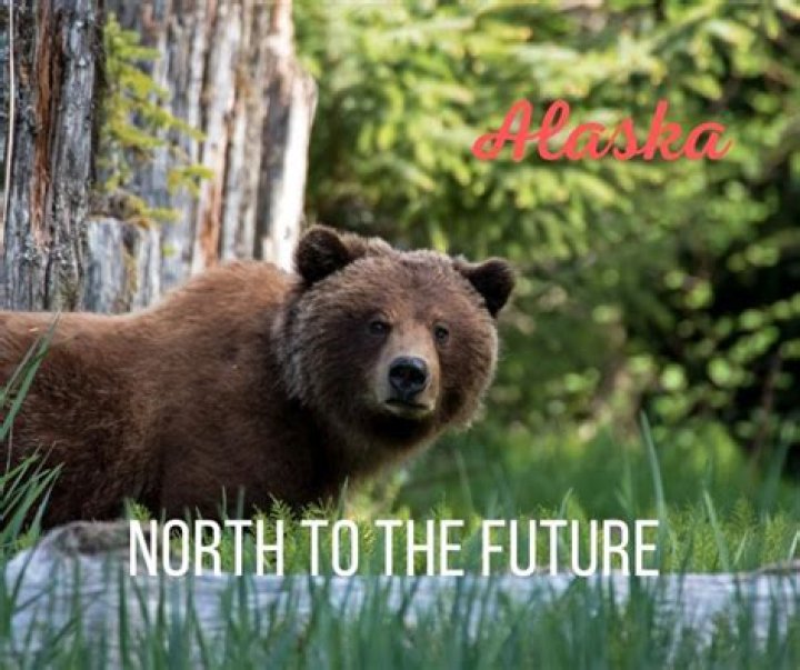 What is Alaska motto?
