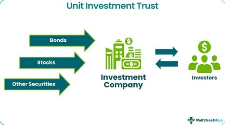 What is an example of a unit investment trust?