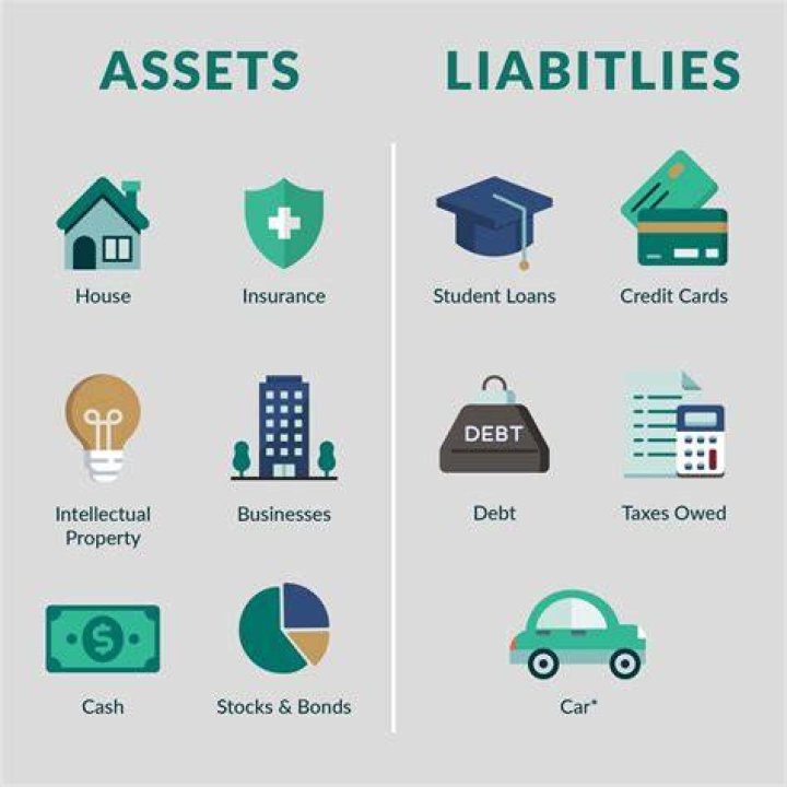 What is an example of an asset?