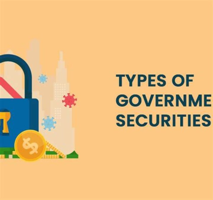 What is an example of government securities?