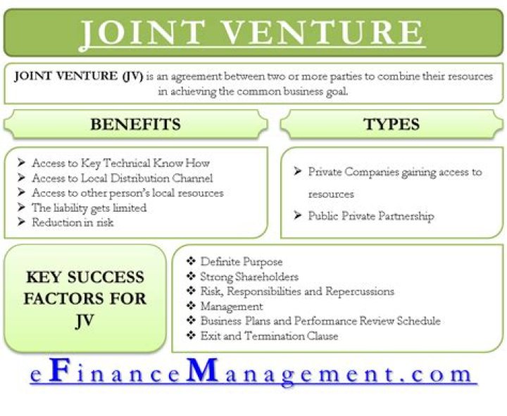 What is an example of joint venture?