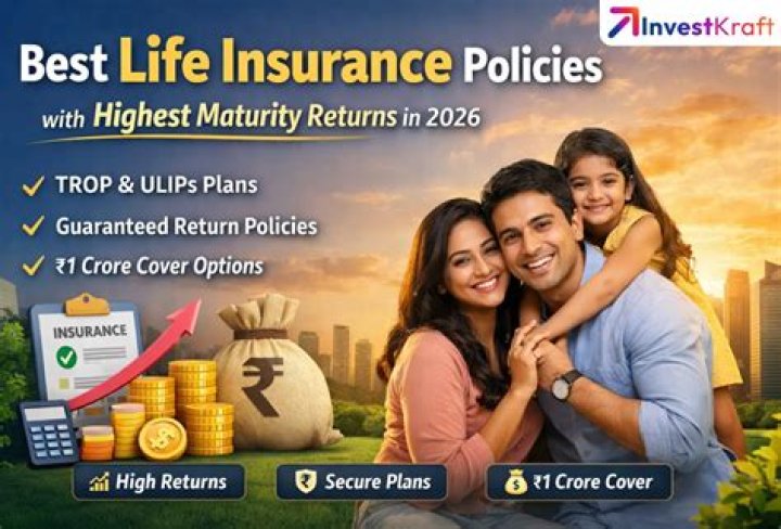 What is an insurance investment plan?
