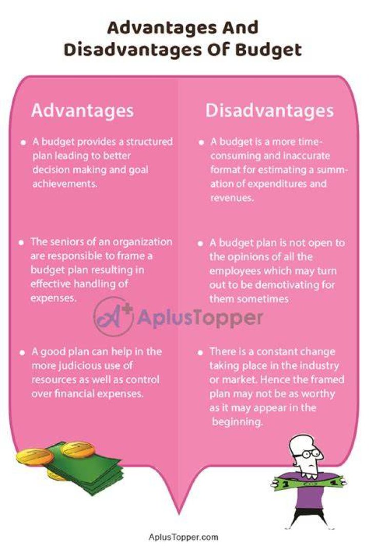 What is budget advantages and disadvantages?