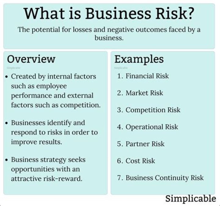 What is business risk explain various causes of business risk?