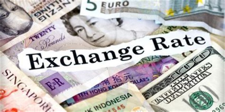 What is Canadian effective exchange rate?