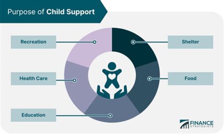 What is child support used for in California?
