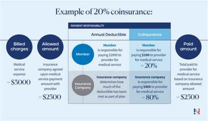 What is coinsurance 20%?
