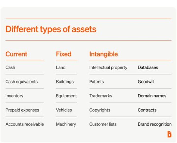What is considered a capital purchase?