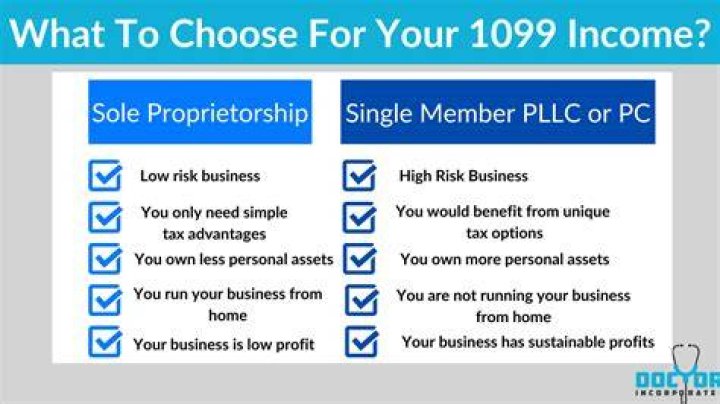 What is considered income for a sole proprietor?