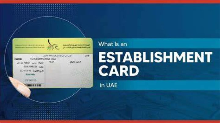 What is considered the establishment?