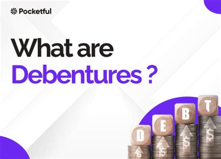 What is debenture share IPO?