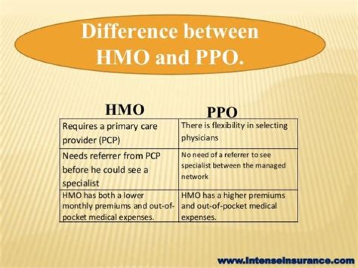 What is difference between HMO and PPO?