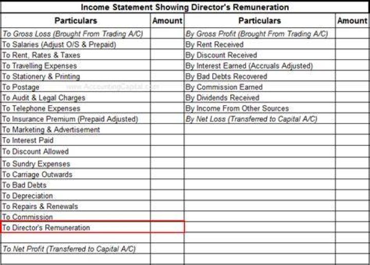 What is directors remuneration in income statement?