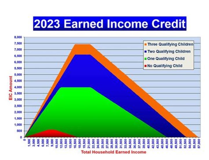 What is disallowed earned income credit?
